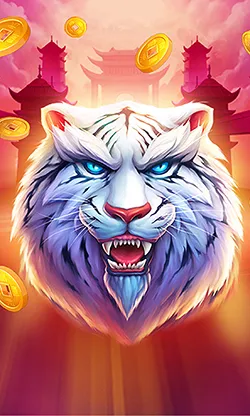Bild des Spielautomaten Luck of Tiger
